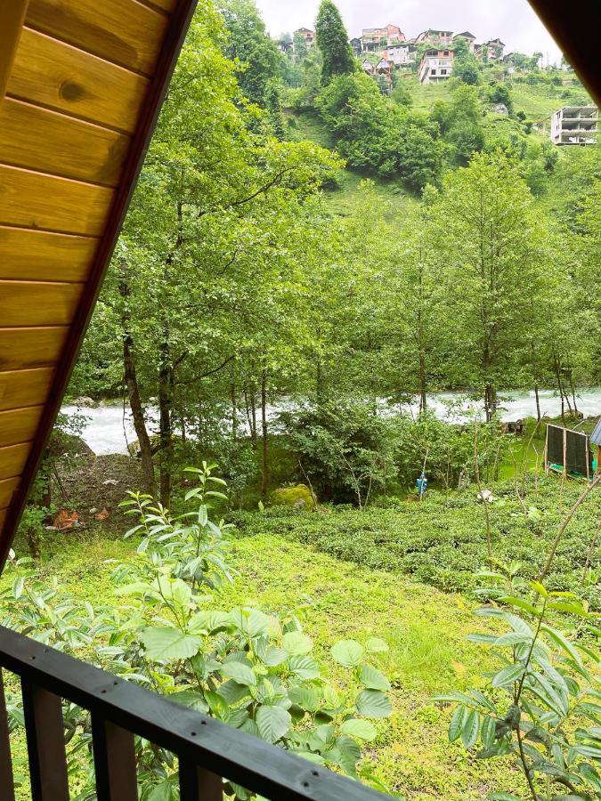 Tanura Bungalows Çamlıhemşin Eksteriør billede