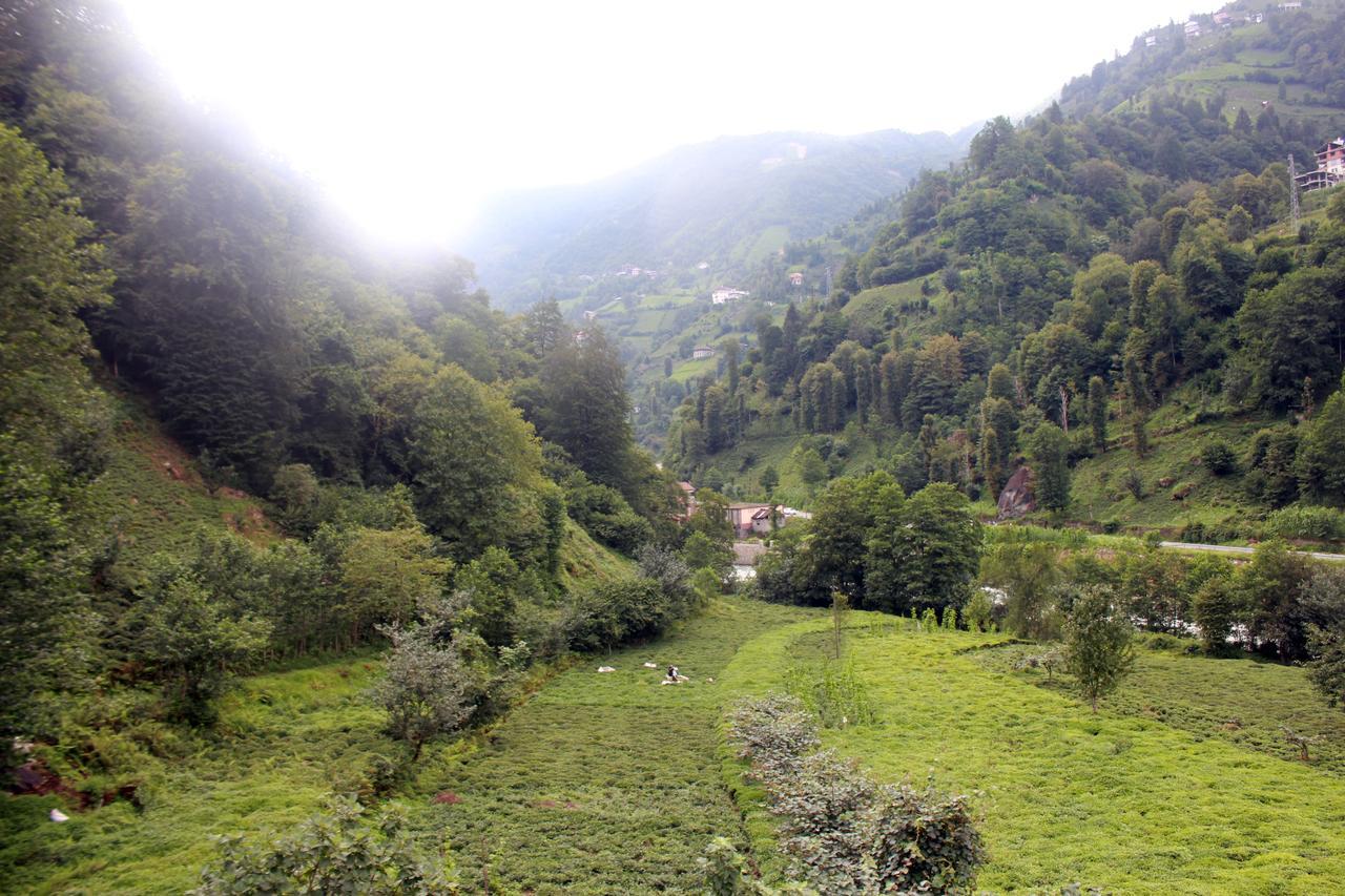 Tanura Bungalows Çamlıhemşin Eksteriør billede